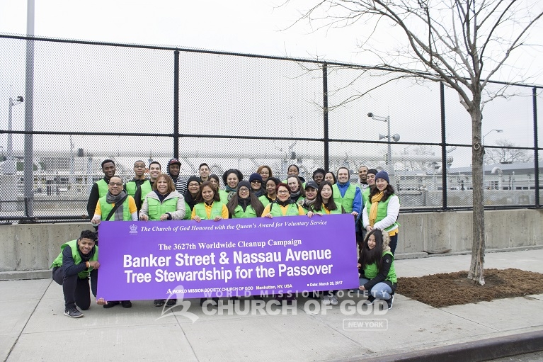 Brooklyn Tree Stewardship