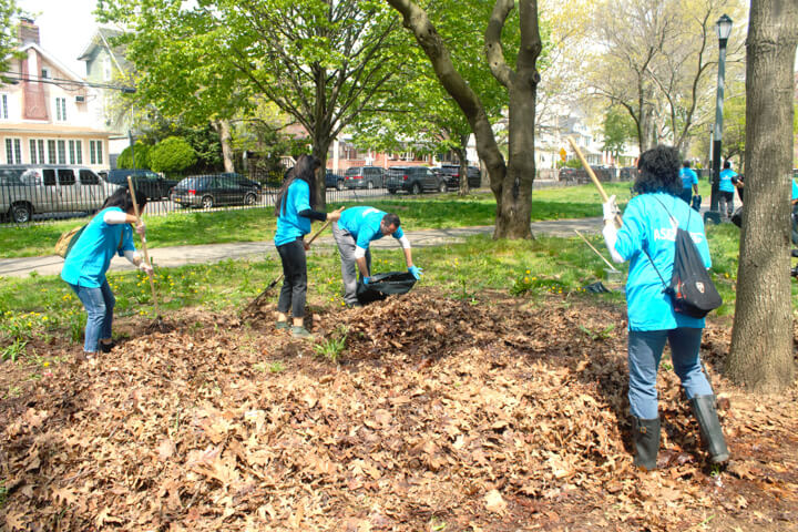 amersfort park cleanup ASEZ