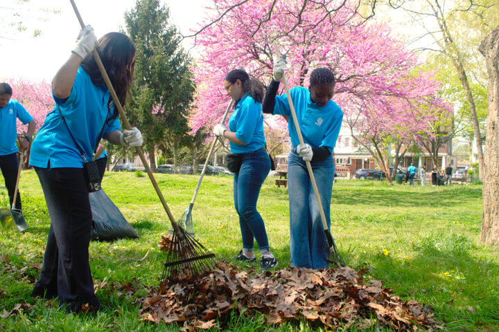 amersfort park cleanup ASEZ