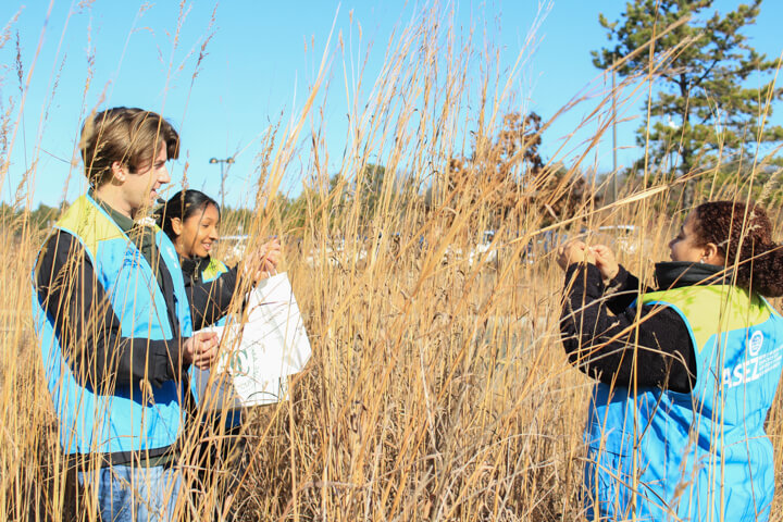 albany pine bush preserve