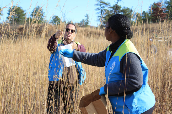 albany pine bush preserve