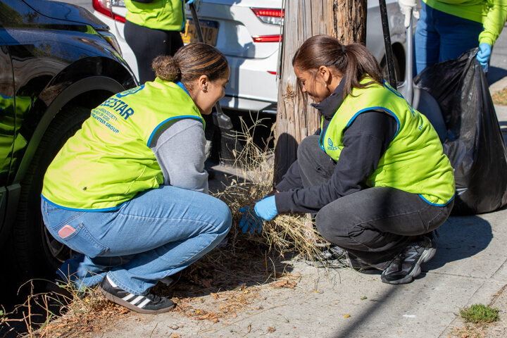 ASEZ STAR Gun Hill Road cleanup