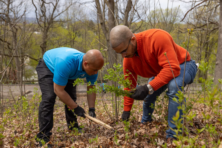 ASEZ Beautification Project at Schiller Park in Syracuse