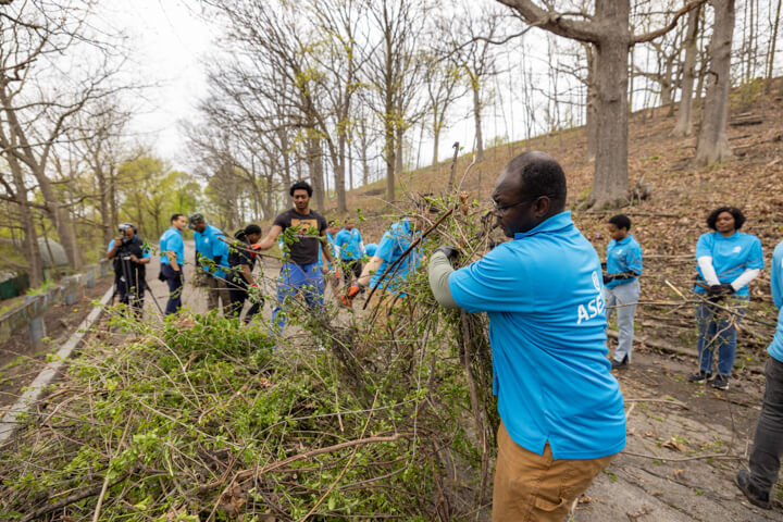 ASEZ Beautification Project at Schiller Park in Syracuse