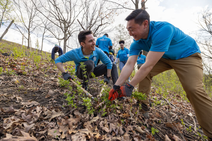 ASEZ Beautification Project at Schiller Park in Syracuse