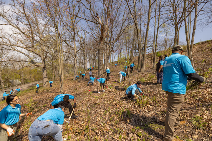 ASEZ Beautification Project at Schiller Park in Syracuse