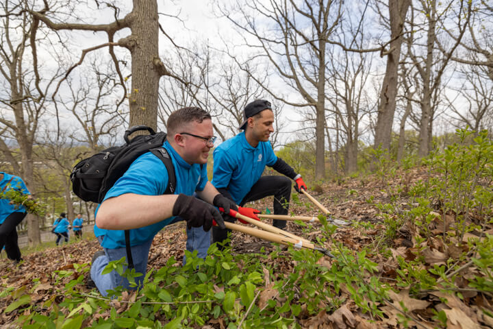 ASEZ Beautification Project at Schiller Park in Syracuse