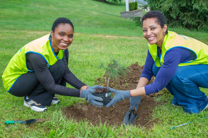 Forest of Hope Tree Planting