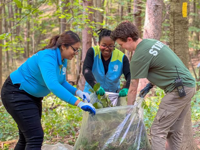 ASEZ Volunteers Remove Invasive Plants at Beaver Lake Nature Center