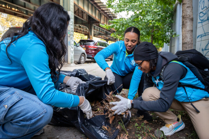 ASEZ Graffiti Removal
