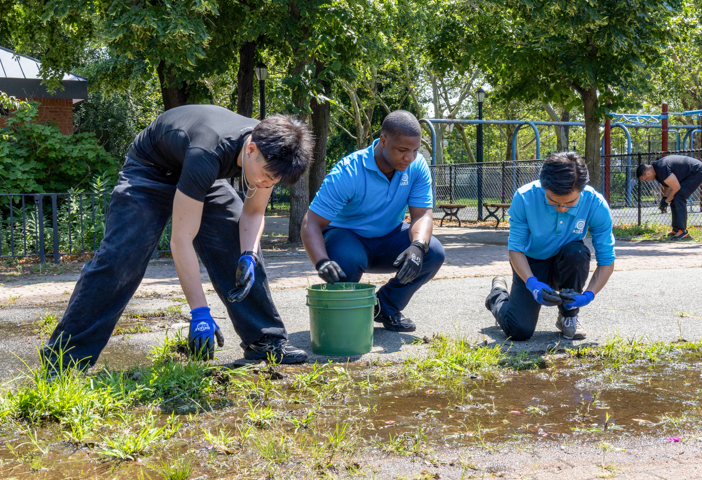 cooper park cleanup